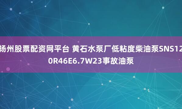 扬州股票配资网平台 黄石水泵厂低粘度柴油泵SNS120R46E6.7W23事故油泵